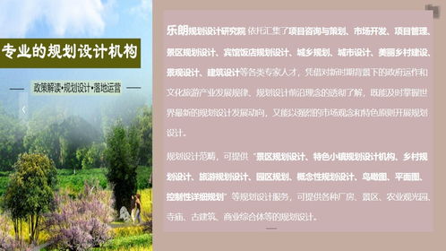 龍泉旅游景區規劃設計公司的服務內容與費用解析